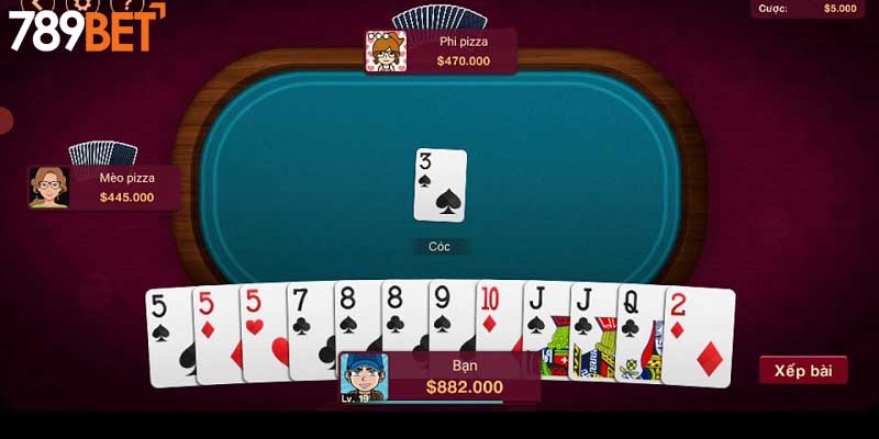 Hướng dẫn chi tiết cách chơi catte online hữu hiệu cho hội viên